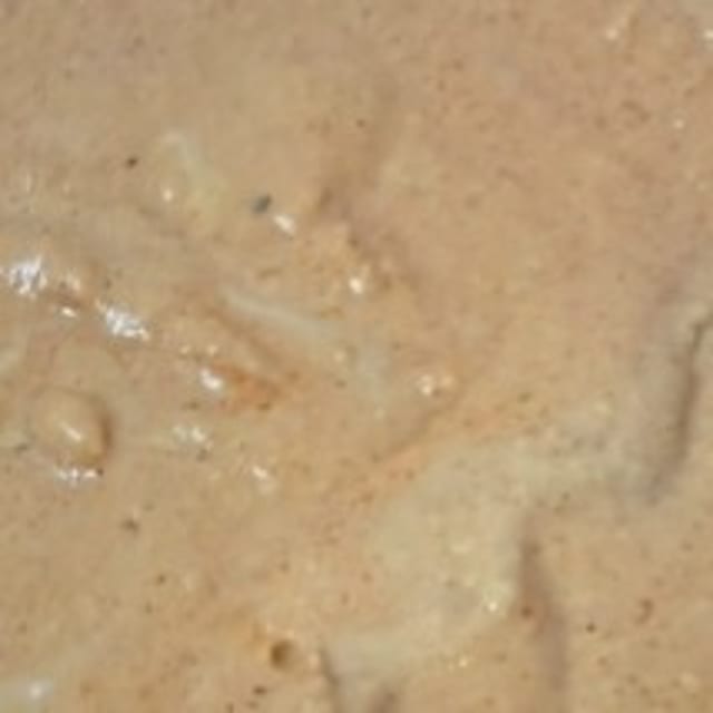 Cajun Hummus.